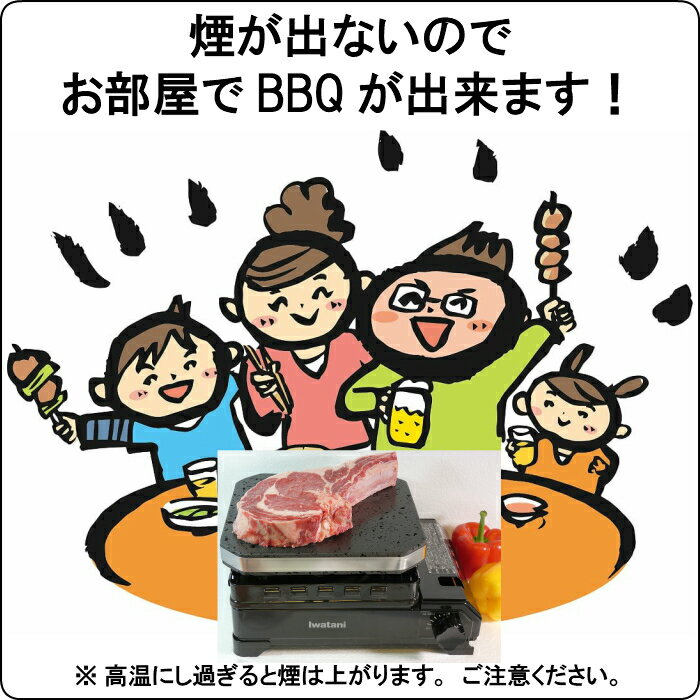 イワタニ カセットフー 雅プラス Iwatani CB-WA-35F 溶岩プレート 焼肉 無煙 煙 出ない 吸引 ロースター グリル 遠赤外線 焼き肉プレート 焼肉プレート バーベキューコンロ BBQコンロ キャンプ用品 グリルプレート ホットプレート CBWA35F 【送料無料】 おすすめ 2