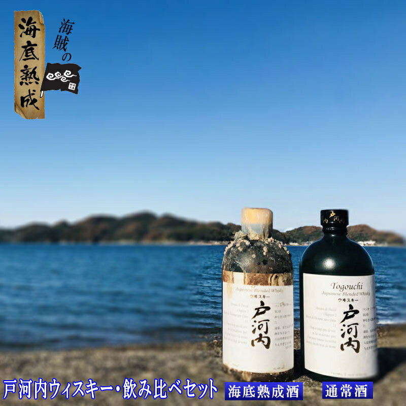 【1年熟成】戸河内ウィスキー700ml 飲み比べ2本セット（海底熟成酒、通常品）中国醸造 40度