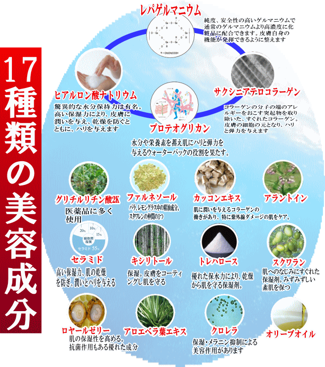 楽天市場 漢方オールインワンジェル シースカイジェル 大容量450g 乾燥肌 敏感肌にも最適 送料無料 がいや酒店