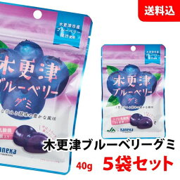 メール便 木更津ブルーベリー フルーツグミ 5袋 ラブレ乳酸菌 ジュレ果汁入り 果汁ぐみ カネカ食品 JA 共同開発 ご当地 お菓子 送料無料 ポイント消化