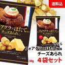 フォアグラ × ほたて風味 チーズあられ 4袋セット (30g×4袋) 送料無料 メール便 ワインに合うおつまみ チーズ あられ お菓子 おつまみ きらら