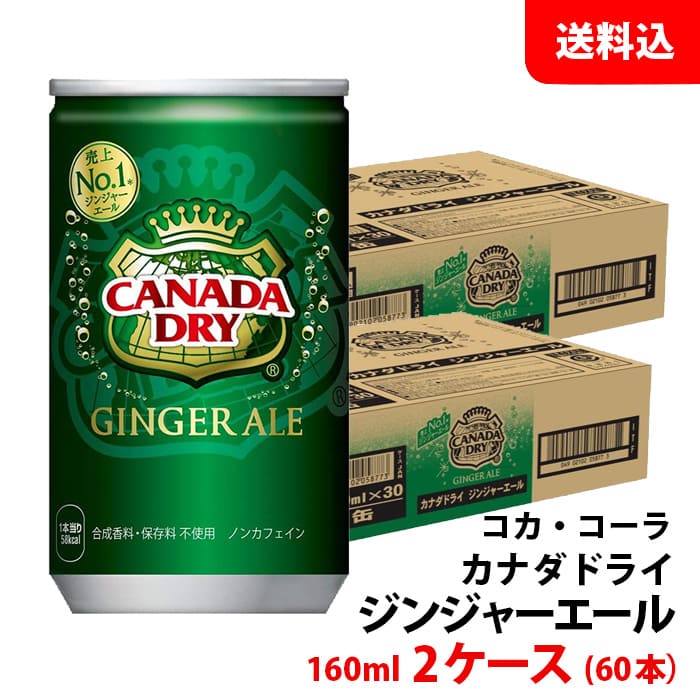 カナダドライ ジンジャーエール 160ml缶 2ケース(60本) 【コカ・コーラ】 メーカー直送 送料無料