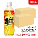 リアルゴールド ビタミンローヤルパワー 490ml 2ケース(48本) ペット 【コカ・コーラ】メーカー直送 送料無料