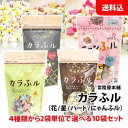 送料無料 カラふル 10袋セット 4種類から2袋単位で選べる 【 花 星 ハート ニャンふル 】 食卓に彩り 水戻し不要 そのまま食べれる お麩 常陸屋本舗