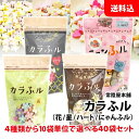 送料無料 カラふル 40袋セット 4種類から10袋単位で選べる 【 花 星 ハート ニャンふル 】 業務用 まとめ買い 水戻し不要 そのまま食べれる お麩 常陸屋本舗