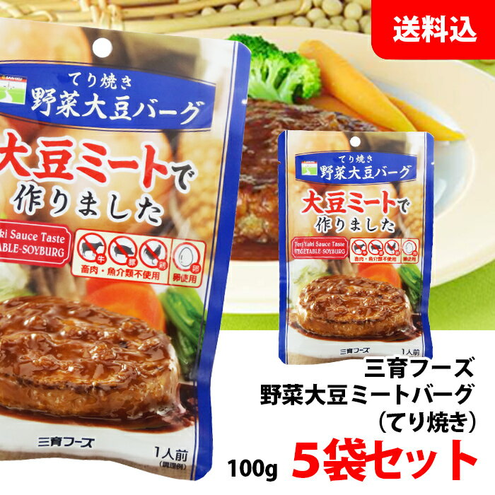 送料無料 【メール便】 野菜大豆バーグ てり焼き 5袋セット 三育フーズ 大豆ミート 畜肉・魚介類不使用