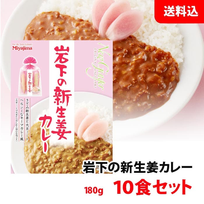 送料無料 岩下の新生姜カレー 10食セット レトルトカレー 中辛 キーマカレー 大豆ミート 使用 岩下の新生姜 宮島醤油 コラボ 人気 カレー