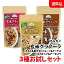 送料無料 メール便 玄米グラノーラ 3種お試しセット 焙煎国産玄米入り マルカイ 順造選 保存料 着色料 無添加