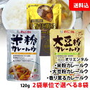 送料無料 オリエンタル カレー 2袋