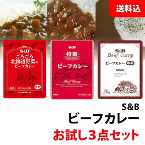 送料無料 メール便 S＆B ビーフカレー 3食セット 業務用 エスビー レトルトカレー お試しセット ポイント消化 キャンプにも！