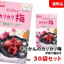 送料無料 種抜き 手割り かりかり梅 30袋セット 〜すっきりとした酸味〜 カリカリ梅 種ぬき おやつ 壮関 毎日飽きない1ヶ月分！