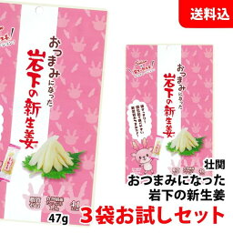 お試しセット 送料無料 メール便 おつまみになった 岩下の新生姜 3袋 お菓子 おつまみ 個包装 壮関 さっぱりとクセになる美味しさ！