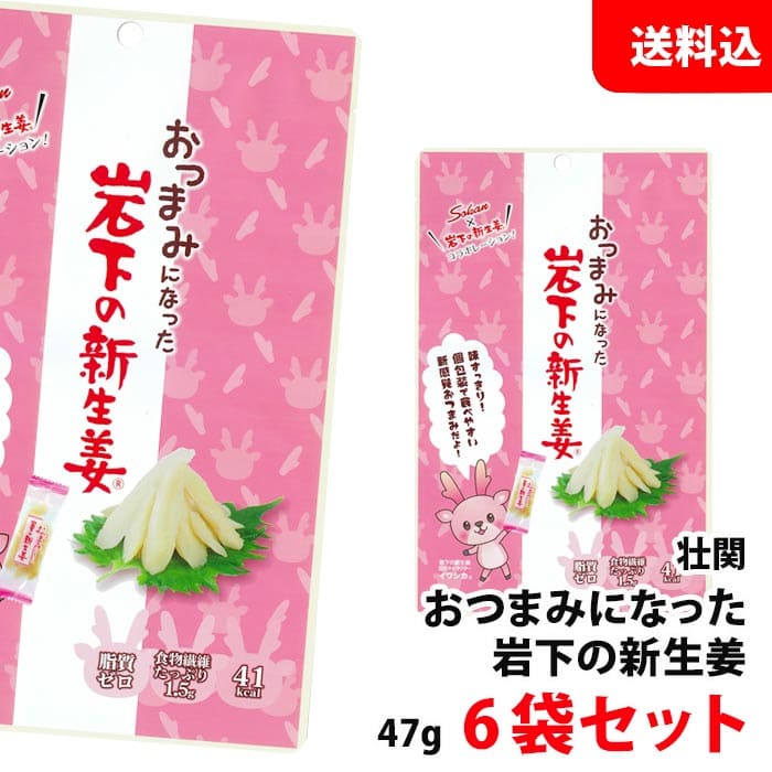 送料無料 メール便 おつまみになった 岩下の新生姜 6袋セット お菓子 おつまみ 個包装 壮関 さっぱりとクセになる美味しさ！