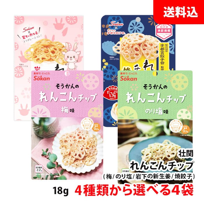 送料無料 メール便 れんこんチップ 4袋セット 18g 4種類から選べる ≪ 梅 / のり塩 / 岩下の新生姜 / 焼餃子味 ≫ お菓子セット おつまみ 壮関