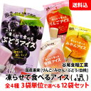 送料無料 凍らせて食べるアイス 選べる12袋 (1袋:4本入) ≪ りんご みかん ぶどう 白桃 ≫ 国産果実 3袋単位で選べる 業務用 デザート 谷尾食糧工業(4)