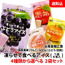 送料無料 メール便 凍らせて食べるアイス 2袋セット (1袋:4本入) ≪ りんご みかん ぶどう 白桃 ≫ 国産果実 4種類から選べる お試しセット 谷尾食糧...