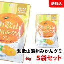 メール便 和歌山温州みかん フルーツグミ 5袋 ラブレ乳酸菌 ジュレ果汁入り 果汁ぐみ カネカ食品 JA 共同開発 ご当地 お菓子 送料無料 ポイント消化