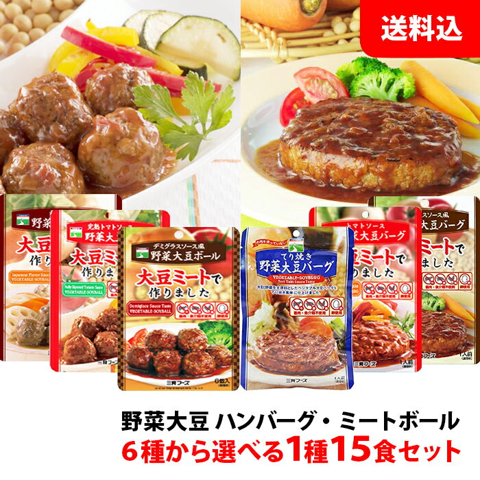 送料無料 野菜大豆バーグ / ミートボール 6種類から選べる 15食セット(15食入り×1箱) まとめ買い 三育フーズ 大豆ミート