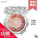 ★ポイント10倍・割引クーポン★JILL STUART ジルスチュアート ブルームクチュール アイズ #06 honey gerbera 6g【送料無料】