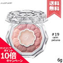 ★ポイント10倍・割引クーポン★JILL STUART ジルスチュアート ブルームクチュール アイズ #19 calm petunia 6g【送料無料】(4)
