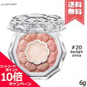   EN[| JILL STUART WX`A[g u[N`[ ACY #20 daylight zinnia 6g   