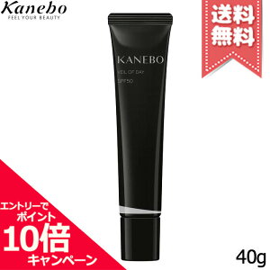 ★ポイント10倍・割引クーポン★【送料無料】KANEBO カネボウ ヴェイル オブ デイ 40g