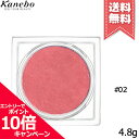 ★ポイント10倍・割引クーポン★在庫処分特価★KANEBO カネボウ モノブラッシュ #02 Garnet Red 4.8g【送料無料】