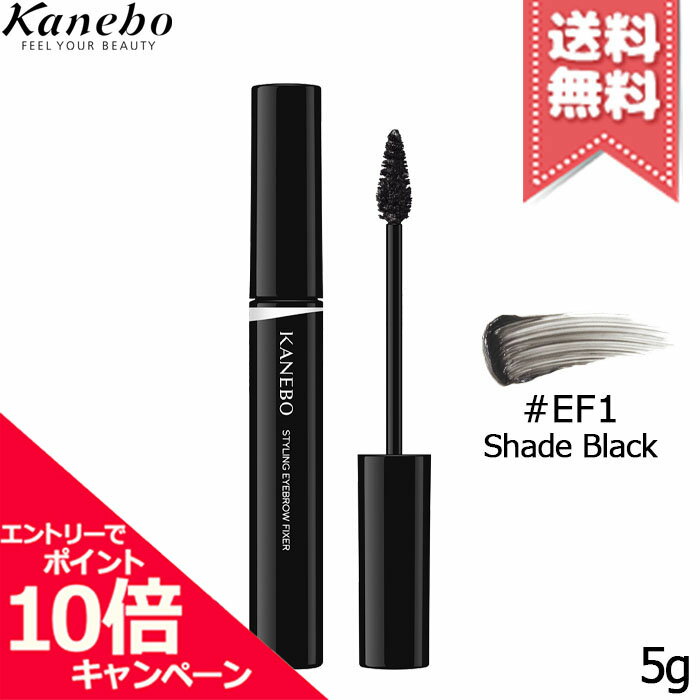 ★ポイント10倍・割引クーポン★KANEBO カネボウ スタイリングアイブロウフィクサー #EF1 Shade Black 5g【送料無料】のサムネイル