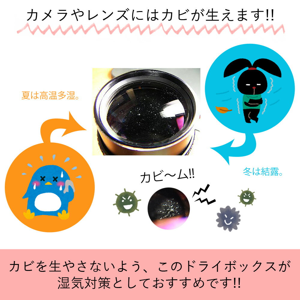 レンズのカビ対策 沖縄以外でも必須のカメラを守る方法は かわいいドライボックスも ていさん家の島ぐらし 沖縄西表島情報 レンズのカビ対策 沖縄以外でも必須のカメラを守る方法は かわいいドライボックスも ていさん家の島ぐらし 沖縄西表島情報