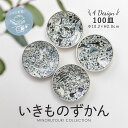 みのる陶器 【いきものずかん】100皿（Φ10.2×H2.0cm）