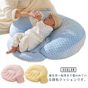 新生児 吐き戻し枕 授乳クッション Cカーブ 背中スイッチ ベビー枕 授乳クッション 吐き戻し防止クッション 男の子 女の子 斜面枕 ベビー用品 赤ちゃん 柔ら...