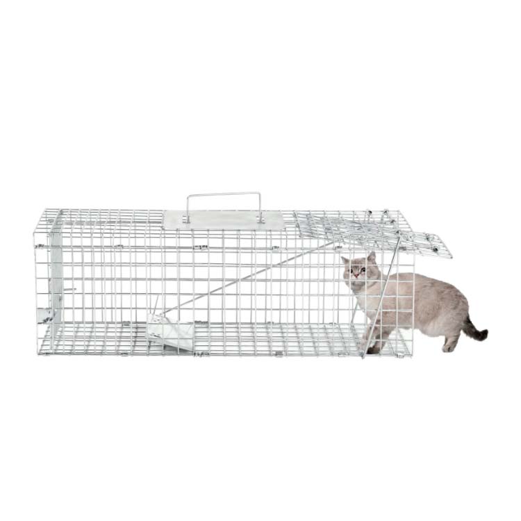 ��͵� �� Ƨ�ļ� �� ǭ �� ��ʹ� ưʪ ���� �ϥ��ӥ��� �⥰�� ��ưʪ ���˥ޥ륭��å��㡼 �ڥå� �ݸ� ǭ�� Ȫ ưʪ ����ǭ ����ǭ �� �»�ǭ ����� �ųݤ� �ޤꤿ���� ������ Ƨ����