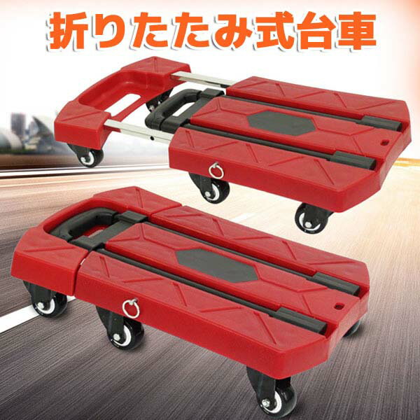 ޤꤿ Ѳٽ100kg ѥȼǼ ޤꤿ߼   åԥ󥰥 ʿ ʥڡ[DD00005]