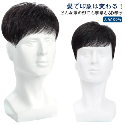 ヘアピース メンズ用 トップカバー 人毛 M型脱毛症 メンズウィッグ 部分ウィッグ 男性用 対策 白髪 ポイントウィッグ 部分かつら 紳士用 増毛 薄毛 円型脱毛症 トップピース 頭頂部 生え際 ヘアピース メンズ用 トップカバー 人毛 M型脱毛症 メンズウィッグ 部分ウィッグ 男性用 対策 白髪 ポイントウィッグ 部分かつら 紳士用 増毛 薄毛 円型脱毛症 トップピース 頭頂部 生え際