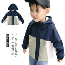 マウンテンパーカー ウィンドーブレーカー パーカー 男の子 キッズ 子供服 ジャケット フード付き ブルゾン ジャンパー ラグランスリーブ 配色 アウター 羽織...