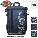 Dickies 30L バックパック OL LOGO BOX ディッキーズ リュック リュックサック バッグ 鞄 ファスナー PC フロントポケット サイドポケット クッションポケット ダブルファスナー ロゴ 刺繍 シンプル かわいい おしゃれ おでかけ 通勤 通学 旅行 使いやすい 軽量 お手入れ楽々