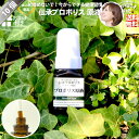 【10個セット】 伝承 プロポリス 原液 （約1ヵ月分/20ml） リキッド ブラジル 健康食品 サプリメント サプリ 養蜂場 健康 送料込【送料無料】