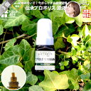 【3個セット】 伝承 プロポリス 原液 (約1ヵ月分/20ml) リキッド ブラジル 健康食品 サプリメント サプリ 養蜂場 健康 送料込【送料無料】
