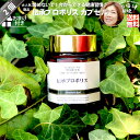 【2個セット】 伝承 プロポリス (約1ヵ月分/120球) ローヤルゼリー 花粉 ビーポーレン 配合 健康食品 サプリメント サプリ カプセル 養蜂場 健康 ブ...