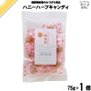 ハニーハーブキャンディ (75g) はちみつ 蜂蜜 ハチミツ 飴 藤井養蜂場 藤井 フジイ ふじい【3980円以上で送料無料】