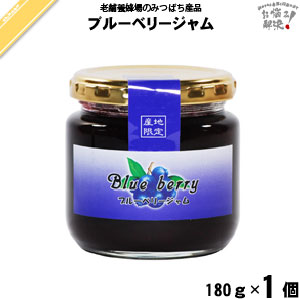 ブルーベリージャム (180g) 藤井養蜂場 藤井 フジイ ふじい はちみつ 蜂蜜 ハチミツ ジャム 養蜂場【3980円以上で送料無料】