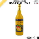 はちみつ マンゴー （600ml） アルフォンソマンゴー 蜂蜜 藤井養蜂場 藤井 フジイ ふじい【3980円以上で送料無料】