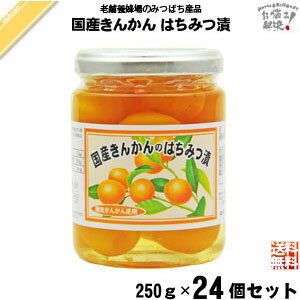 【24個セット】 国産きんかんのはちみつ漬 260g 金柑 キンカン はちみつ 蜂蜜 藤井養蜂場 藤井 フジイ ふじい 送料込【送料無料】