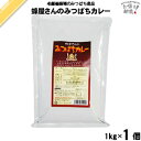 みつばちカレー 業務用 （1kg） 藤井養蜂場 藤井 フジイ ふじい 養蜂場 はちみつ 蜂蜜 ハチミツ 【3980円以上で送料無料】