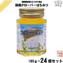 【24個セット】 国産クローバーはちみつ 瓶入 (180g) 藤井養蜂場 藤井 フジイ ふじい 国産蜂蜜 国産ハチミツ くろーばー 送料込【送料無料】