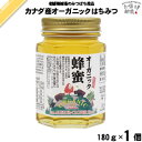 カナダ産オーガニックはちみつ 瓶入 (180g) 藤井養蜂場 藤井 フジイ ふじい【3980円以上で送料無料】
