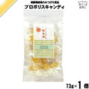 プロポリスキャンディー (73g) 【クーポン配布中】 藤井養蜂場 藤井 フジイ ふじい【3980円以上で送料無料】