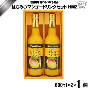 楽天自然と伝承の恵み-みつばちロードはちみつマンゴードリンクセット HM2 （600ml×2） 藤井養蜂場 フジイ ふじい ギフト 父の日 お中元 母の日 お礼 内祝い【3980円以上で送料無料】【化粧箱】