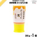 純粋蜂蜜 みつばちの恵 (300g) 藤井養蜂場 藤井 フジイ ふじい【3980円以上で送料無料】