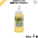 国産アカシアはちみつ ポリ容器 (250g) 藤井養蜂場 藤井 フジイ ふじい 国産蜂蜜 国産ハチミツ アカシア akasia【3980円以上で送料無料】